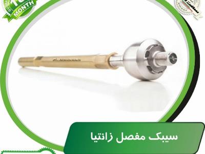 سیبک مفصل زانتیا