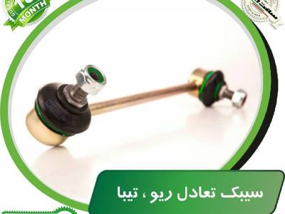 سیبک تعادل ریو - تیبا
