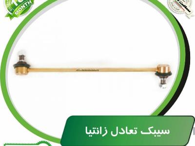 سیبک تعادل زانتیا